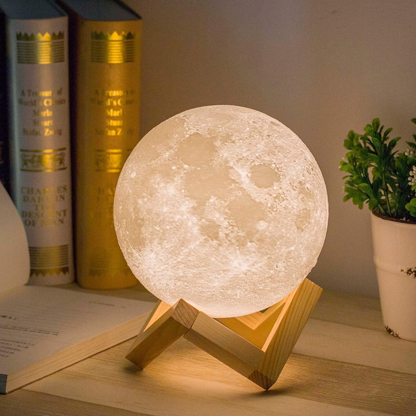 Moonlight Table Lamp