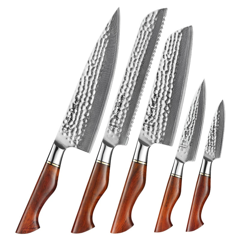 Damascus Steel Knife Set