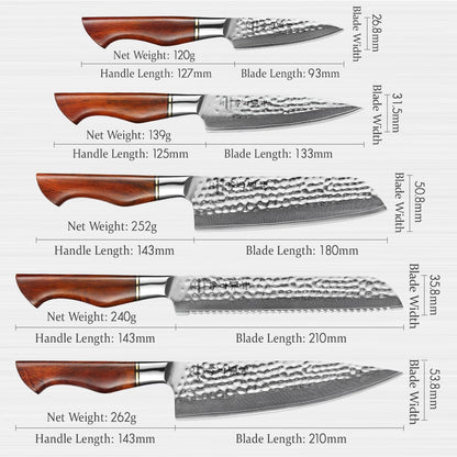 Damascus Steel Knife Set