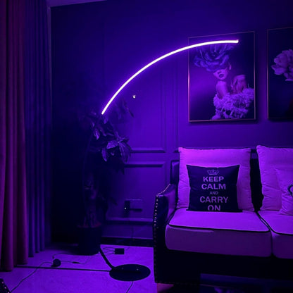 RGB Arc Floor Lamp