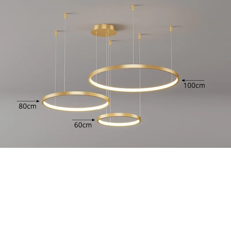 LED Modern Chandelier Variant 16