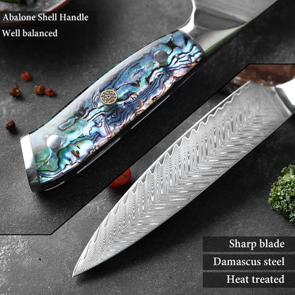 Damascus Chef Knife Set Handle Material