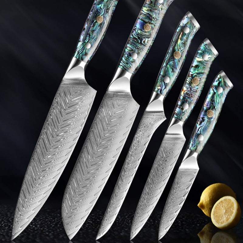 5 PCS Damascus Chef Knife Set