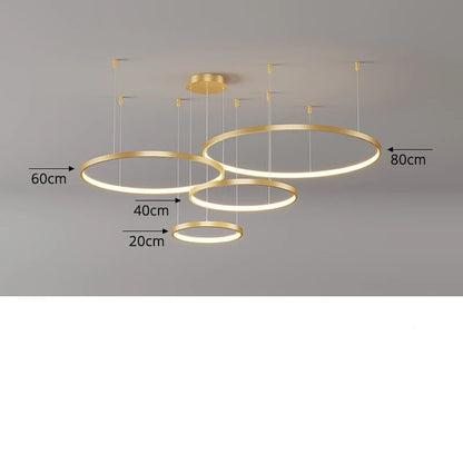 LED Modern Chandelier Variant 17